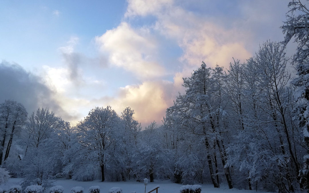 Kalt aber wunderschön – Winterimpressionen aus Halbach.